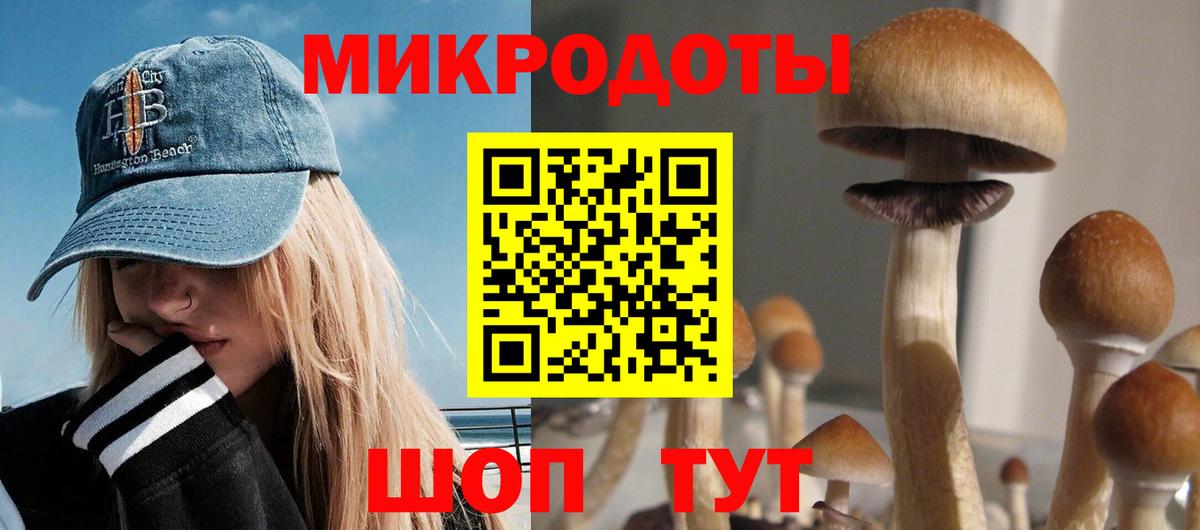 Донской  Галлюциногенные грибы прущие грибы  Галлюциногенные грибы Cubensis  Вход с VPN 